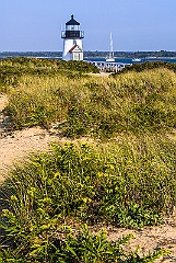 Wildflowers and Beach Grass By Brant Point Light